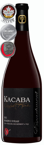 Reserve Syrah 2022